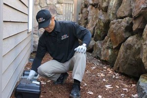 One of our technicians inspects a home's foundation for signs of insects and rodents