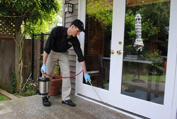 TechnicianSprayingDoor Pest Control & Management