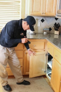 Our rodent control and extermination services include a thorough inspection.