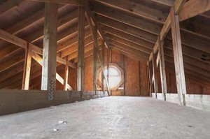 An attic after our pest-based remediation services