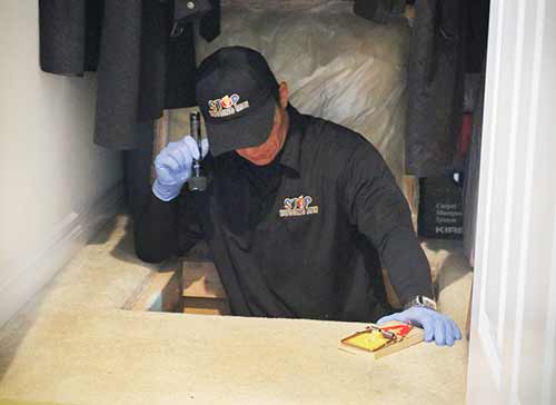 crawlspaceinspection Crawlspace and Attic Restoration