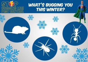 Stop Bugging Me Pest Control - Winter Pests