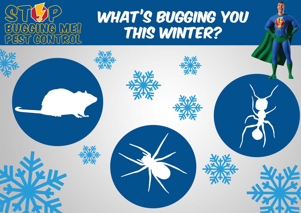 Stop Bugging Me Pest Control - Winter Pests