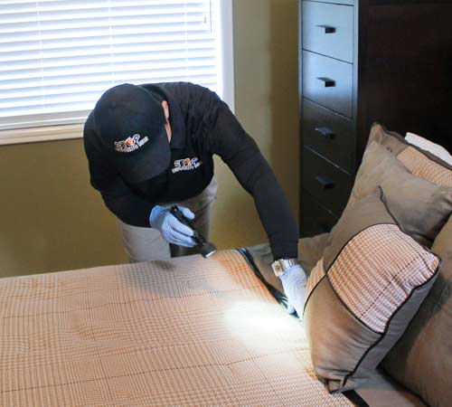 SBMbedbugimage_web Bed Bug Inspection & Removal